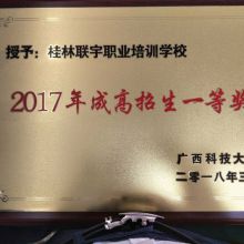 金牌思維，賦能未來 成都市金牌思維教育咨詢有限責任公司專業教育咨詢服務解析