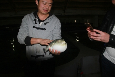 大連啟航“海魚陸養”保險，海水養殖技術研發迎來新機遇